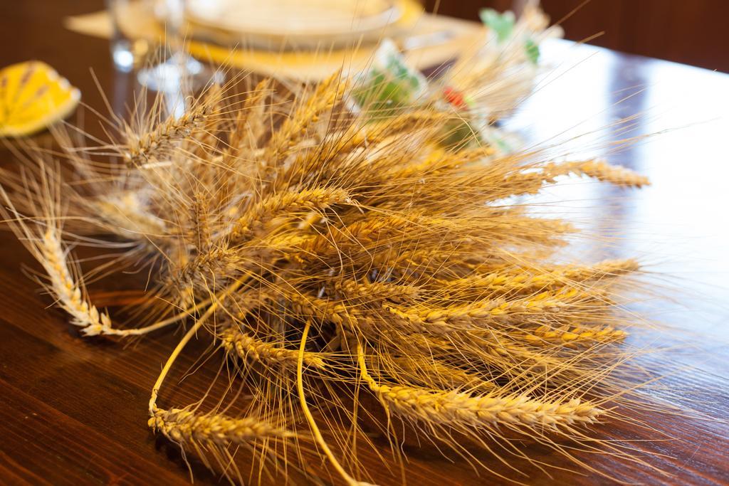 Bio Agriturismo Pratini Monte Lopio Ngoại thất bức ảnh